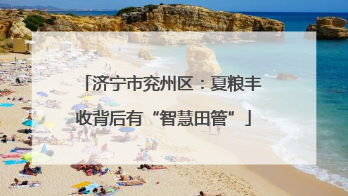 济宁市兖州区：夏粮丰收背后有“智慧田管”