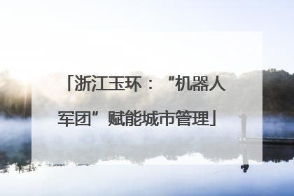 浙江玉环：“机器人军团”赋能城市管理