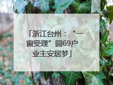 浙江台州：“一窗受理”圆69户业主安居梦
