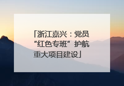 浙江嘉兴：党员“红色专班”护航重大项目建设