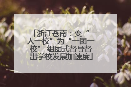 浙江苍南：变“一人一校”为“一团一校” 组团式督导督出学校发展加速度