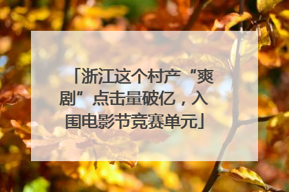 浙江这个村产“爽剧”点击量破亿，入围电影节竞赛单元