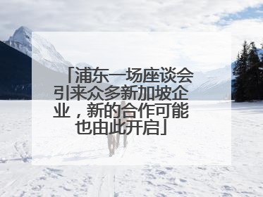 浦东一场座谈会引来众多新加坡企业，新的合作可能也由此开启