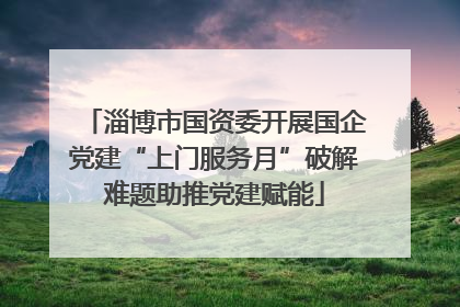 淄博市国资委开展国企党建“上门服务月”破解难题助推党建赋能