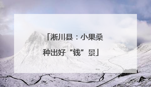 淅川县：小果桑种出好“钱”景