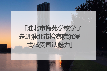 淮北市梅苑学校学子走进淮北市检察院沉浸式感受司法魅力