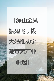 深山金凤振翅飞，钱大妈推动宁都黄鸡产业崛起