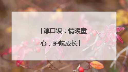 淳口镇：情暖童心，护航成长