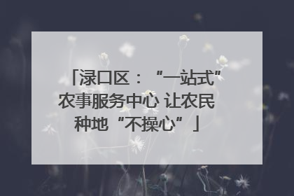 渌口区：“一站式”农事服务中心 让农民种地“不操心”