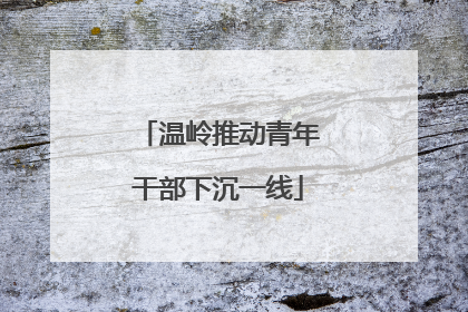 温岭推动青年干部下沉一线