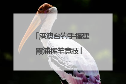 港澳台钓手福建霞浦挥竿竞技