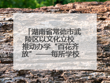 湖南省常德市武陵区以文化立校 推动办学“百花齐放”——每所学校都“精彩”