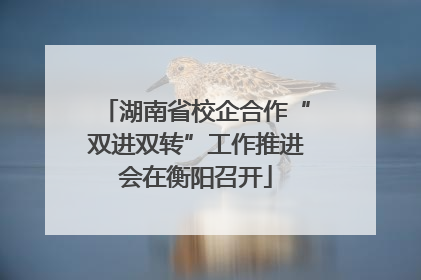 湖南省校企合作“双进双转”工作推进会在衡阳召开