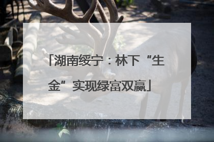 湖南绥宁：林下“生金”实现绿富双赢