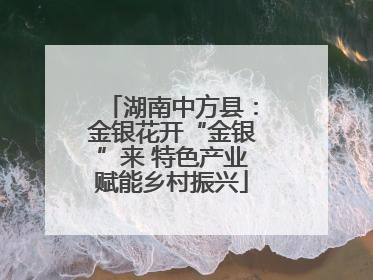 湖南中方县：金银花开“金银”来 特色产业赋能乡村振兴