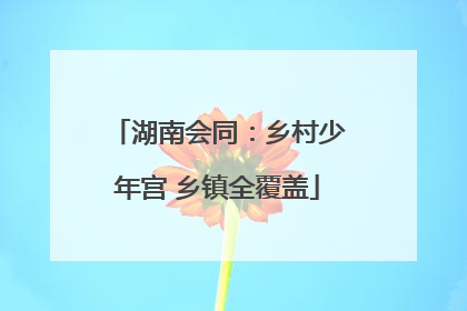 湖南会同：乡村少年宫 乡镇全覆盖