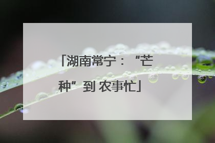 湖南常宁：“芒种”到 农事忙