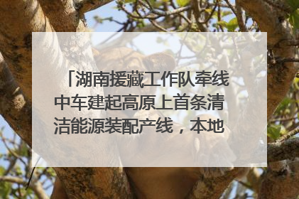 湖南援藏工作队牵线中车建起高原上首条清洁能源装配产线，本地大学生成车间检验员