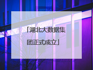 湖北大数据集团正式成立
