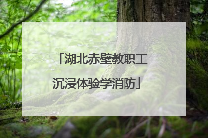 湖北赤壁教职工沉浸体验学消防