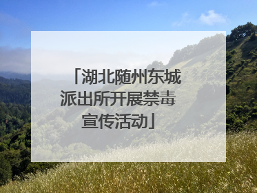 湖北随州东城派出所开展禁毒宣传活动