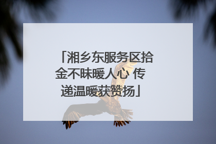 湘乡东服务区拾金不昧暖人心 传递温暖获赞扬