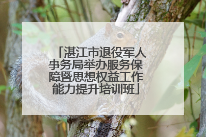 湛江市退役军人事务局举办服务保障暨思想权益工作能力提升培训班