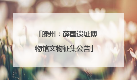 滕州：薛国遗址博物馆文物征集公告