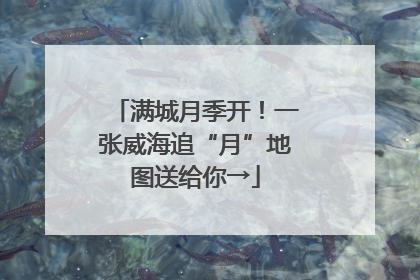 满城月季开！一张威海追“月”地图送给你→