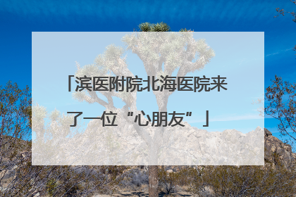 滨医附院北海医院来了一位“心朋友”