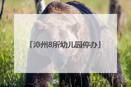 漳州8所幼儿园停办