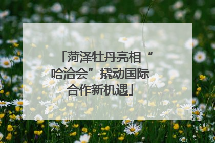 菏泽牡丹亮相“哈洽会”撬动国际合作新机遇