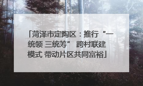 菏泽市定陶区：推行“一统领 三统筹” 跨村联建模式 带动片区共同富裕
