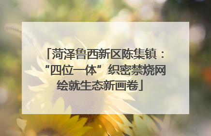 菏泽鲁西新区陈集镇：“四位一体”织密禁烧网 绘就生态新画卷