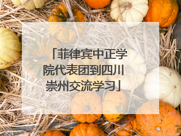 菲律宾中正学院代表团到四川崇州交流学习
