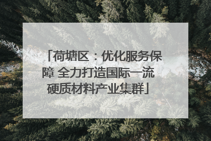 荷塘区：优化服务保障 全力打造国际一流硬质材料产业集群