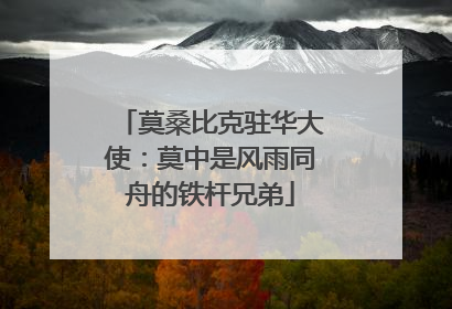 莫桑比克驻华大使：莫中是风雨同舟的铁杆兄弟