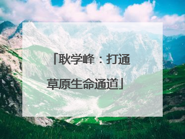 耿学峰：打通草原生命通道