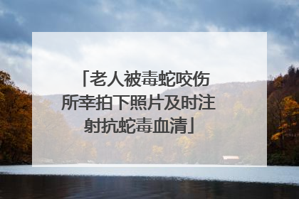 老人被毒蛇咬伤 所幸拍下照片及时注射抗蛇毒血清