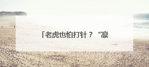 老虎也怕打针？“凛凛搬家记”看华南虎“飞针麻醉”全过程
