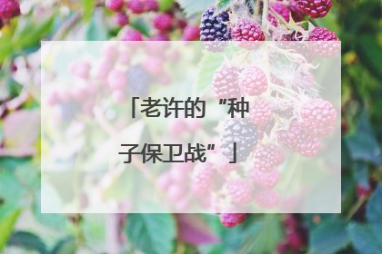 老许的“种子保卫战”