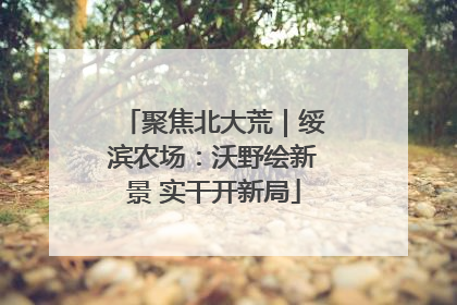 聚焦北大荒｜绥滨农场：沃野绘新景 实干开新局