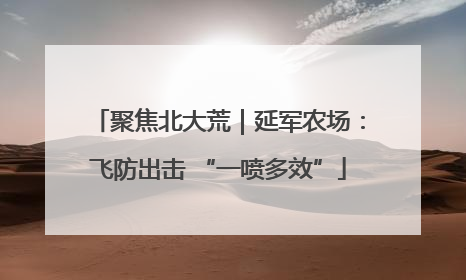聚焦北大荒｜延军农场：飞防出击 “一喷多效”