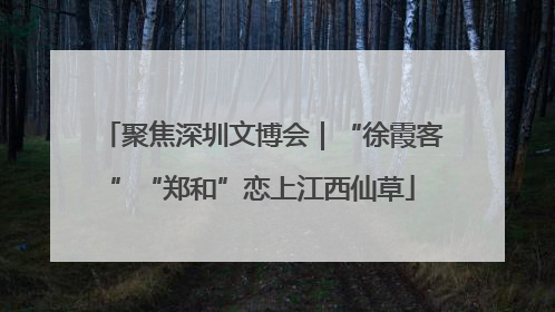 聚焦深圳文博会｜“徐霞客”“郑和”恋上江西仙草