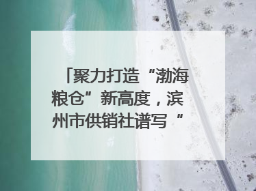 聚力打造“渤海粮仓”新高度，滨州市供销社谱写“三夏”丰收乐章