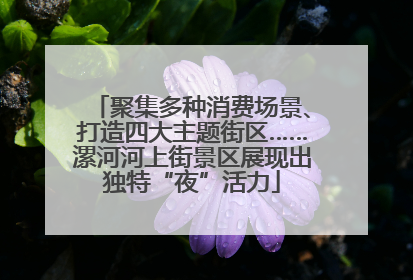聚集多种消费场景、打造四大主题街区……漯河河上街景区展现出独特“夜”活力