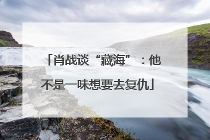 肖战谈“藏海”：他不是一味想要去复仇