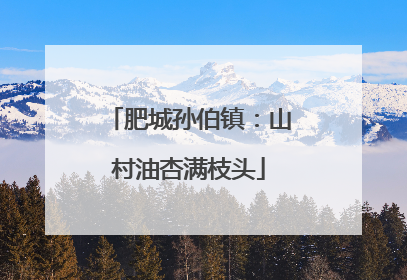 肥城孙伯镇：山村油杏满枝头
