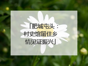 肥城屯头：村史馆留住乡情见证振兴
