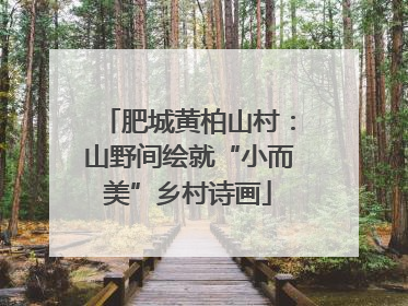 肥城黄柏山村：山野间绘就“小而美”乡村诗画
